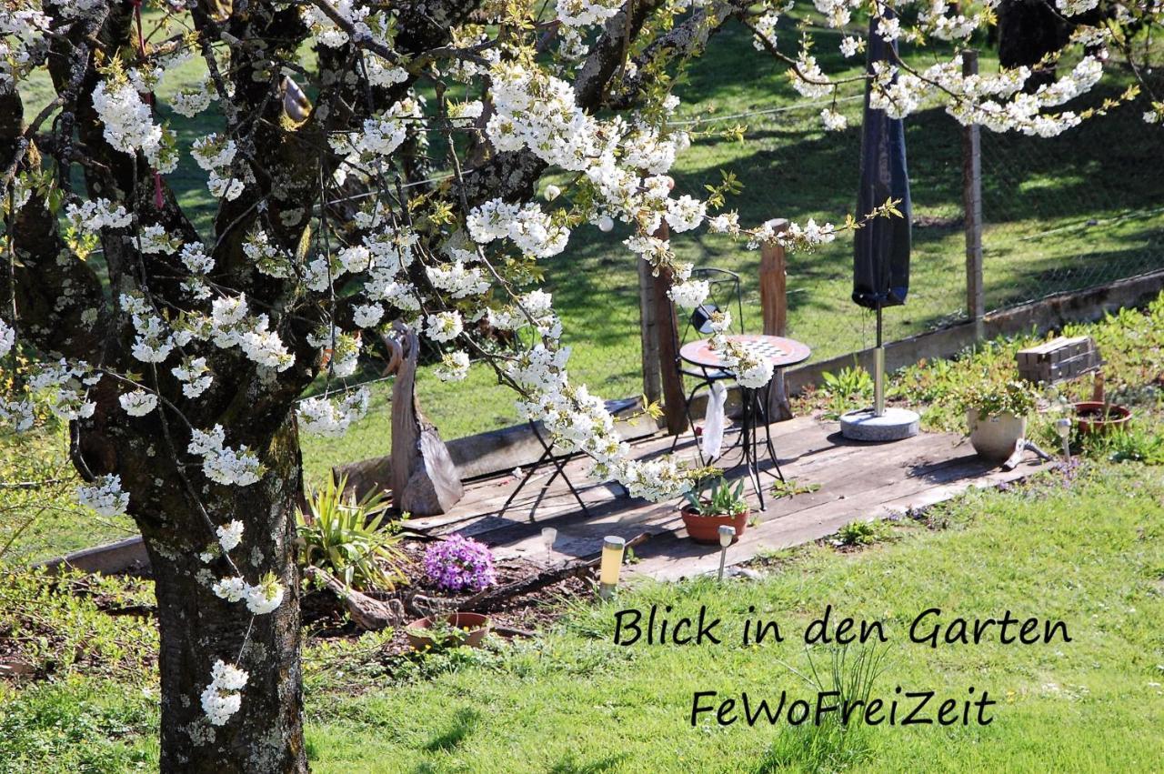 Fewofreizeit Rheinau Esterno foto