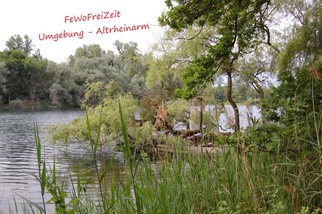 Fewofreizeit Rheinau Esterno foto