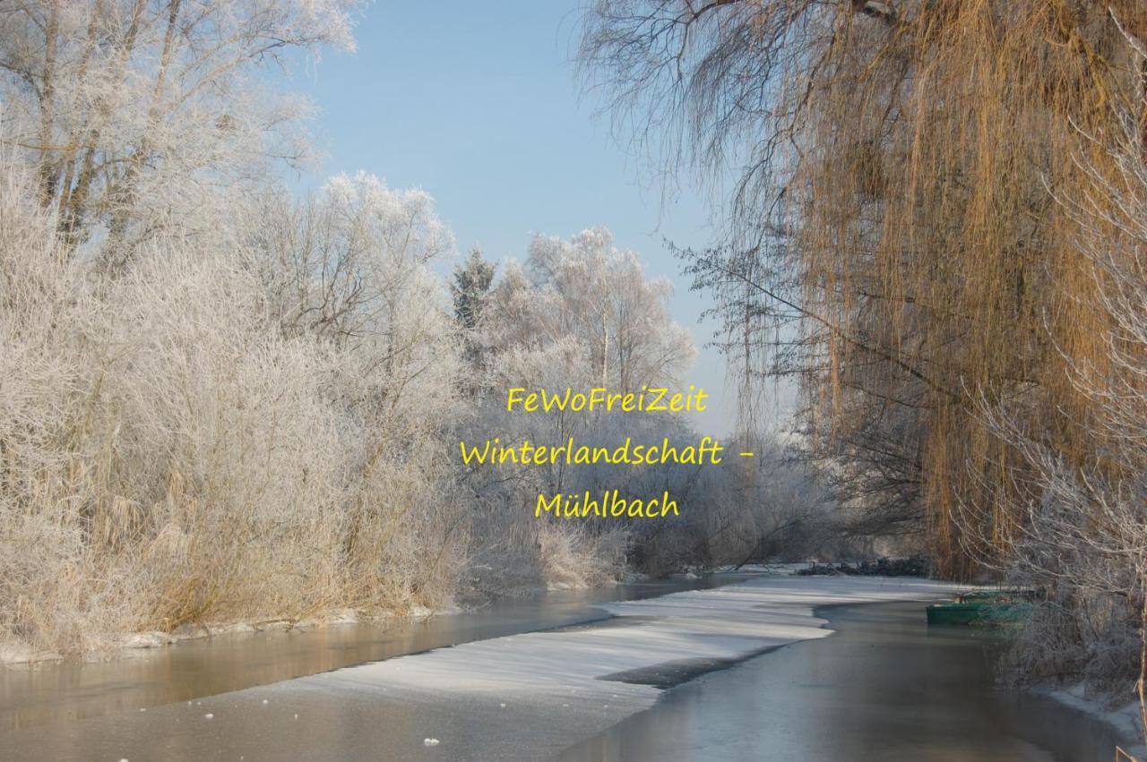 Fewofreizeit Rheinau Esterno foto