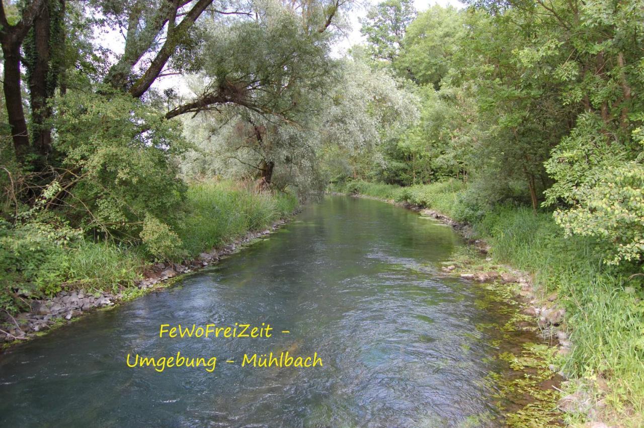Fewofreizeit Rheinau Esterno foto